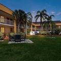 Exterior of SureStay Hotel by Best Western St. Pete Clearwater Airport