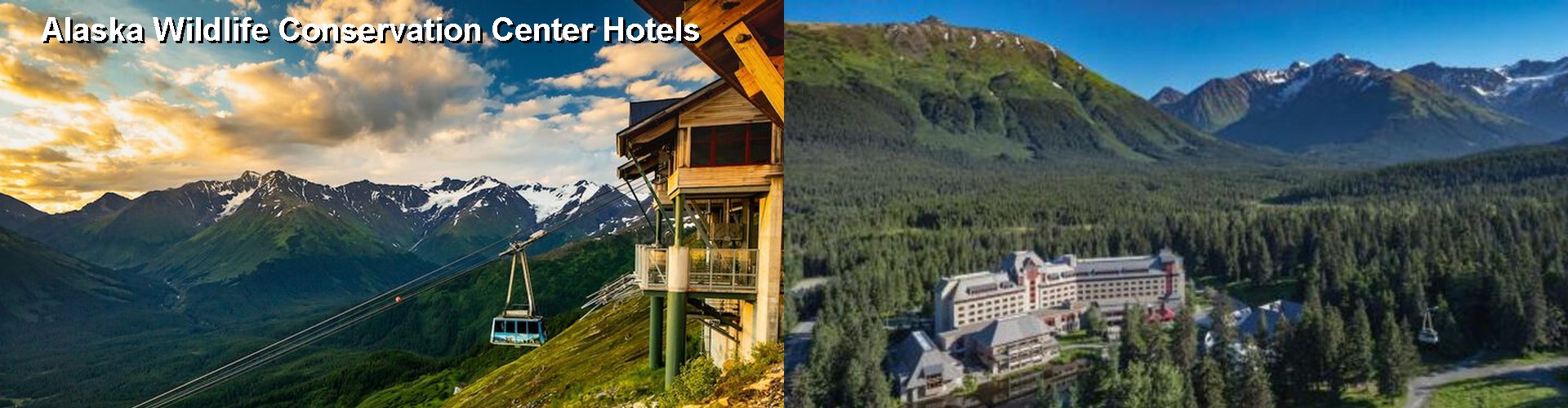 5 Best Hotels near Alaska Wildlife Conservation Center