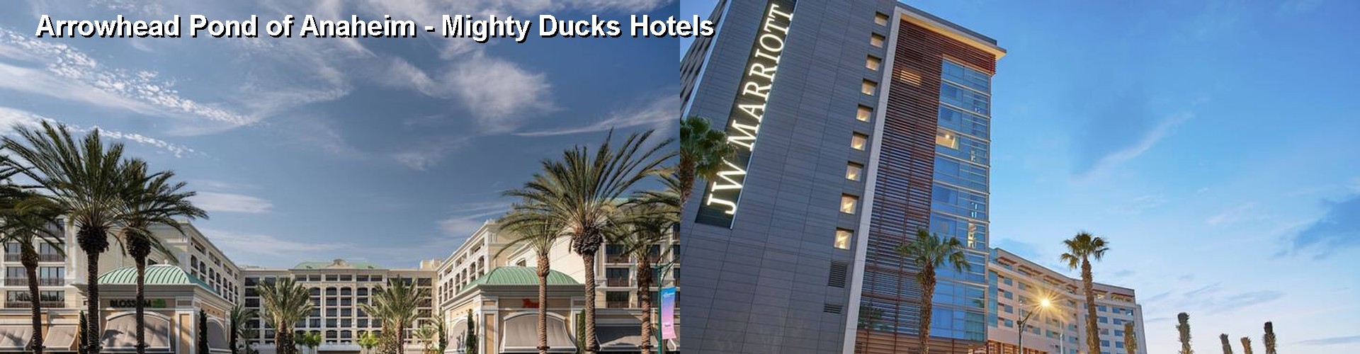5 Best Hotels near Arrowhead Pond of Anaheim - Mighty Ducks