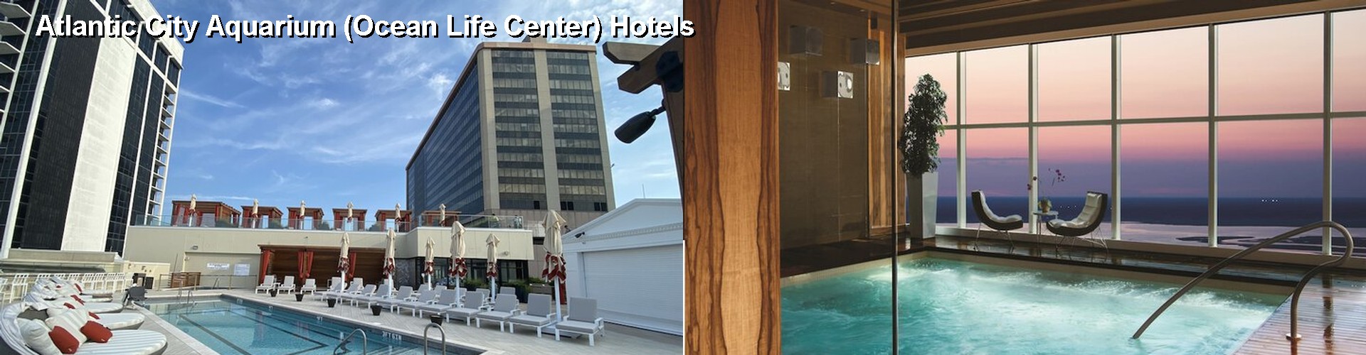5 Best Hotels near Atlantic City Aquarium (Ocean Life Center)