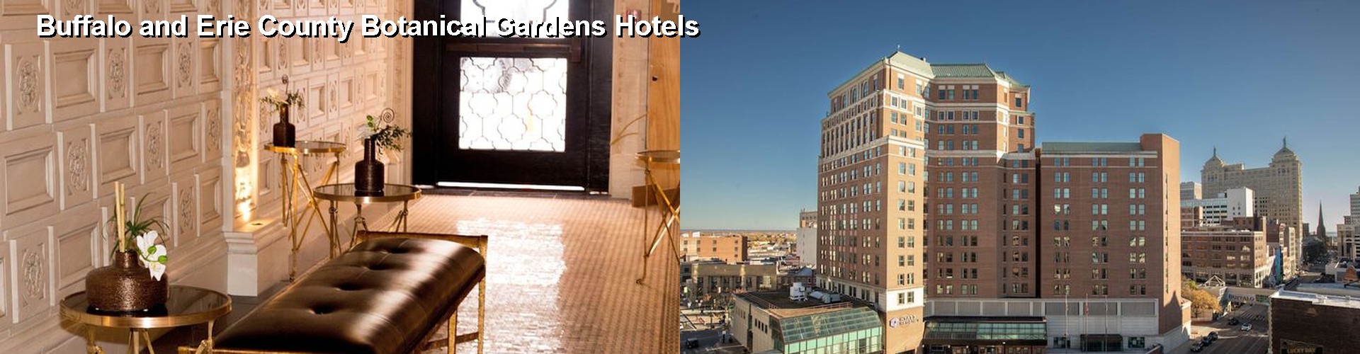 5 Best Hotels near Buffalo and Erie County Botanical Gardens