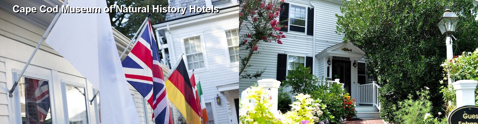 5 Best Hotels near Cape Cod Museum of Natural History