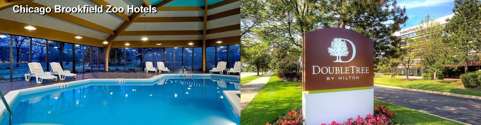 5 Best Hotels near Chicago Brookfield Zoo