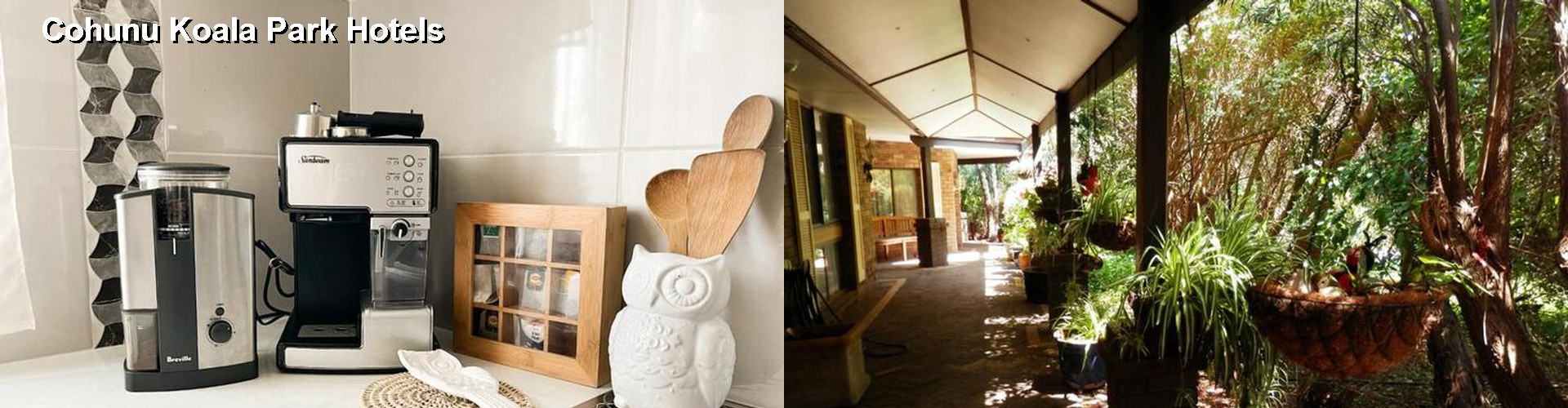 5 Best Hotels near Cohunu Koala Park