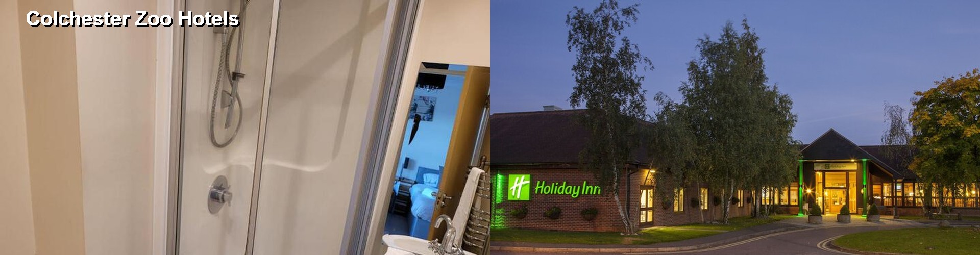4 Best Hotels near Colchester Zoo