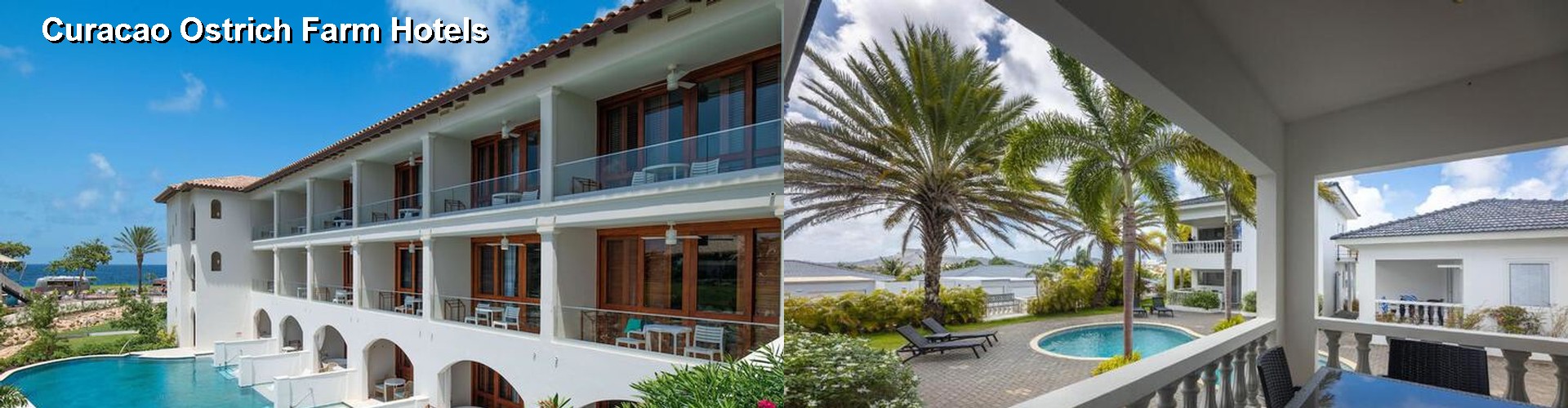 5 Best Hotels near Curacao Ostrich Farm