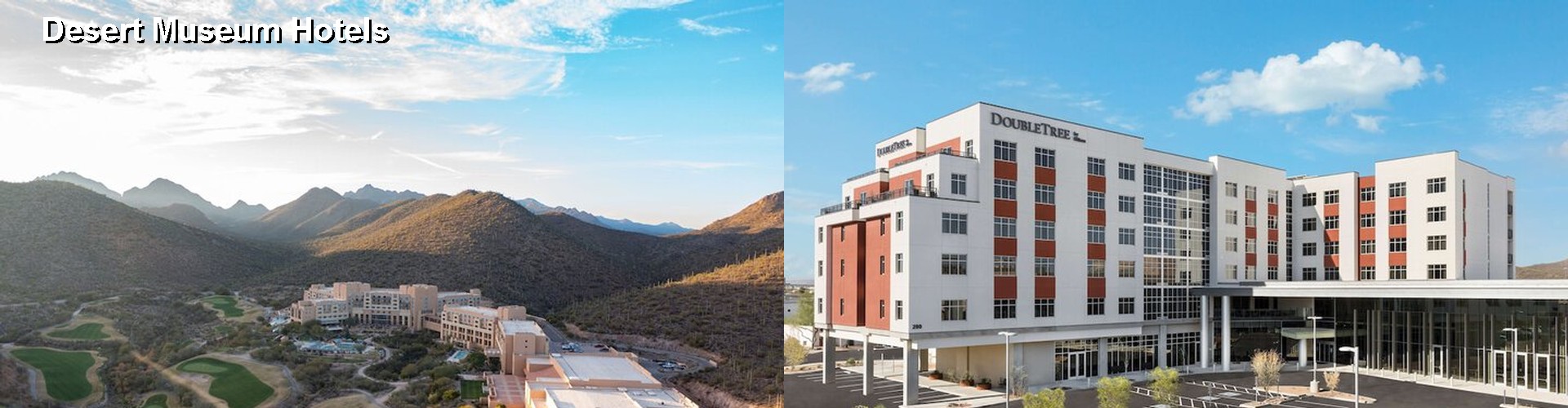 4 Best Hotels near Desert Museum