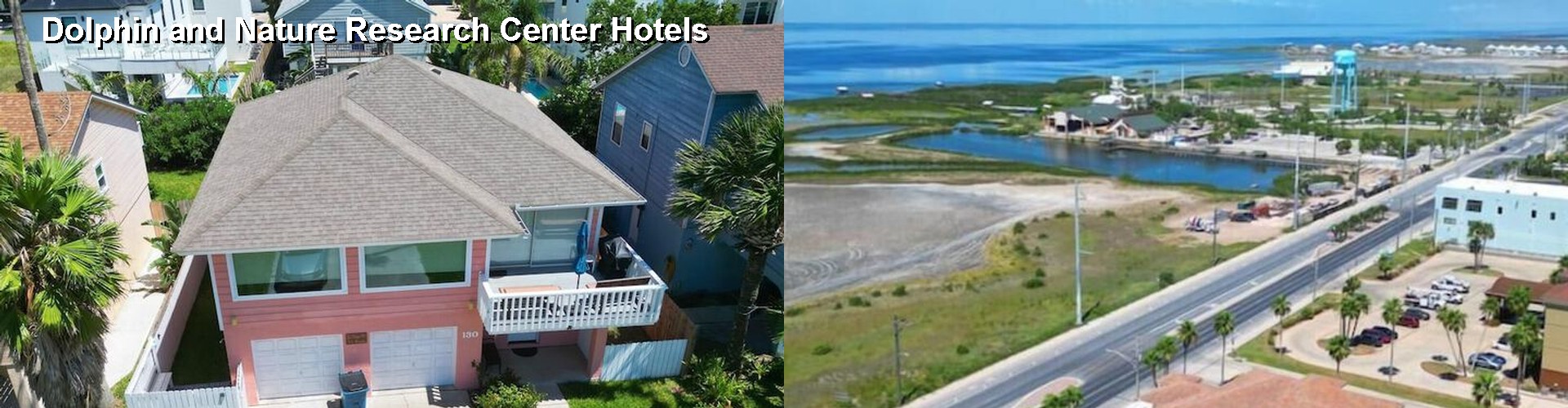 5 Best Hotels near Dolphin and Nature Research Center