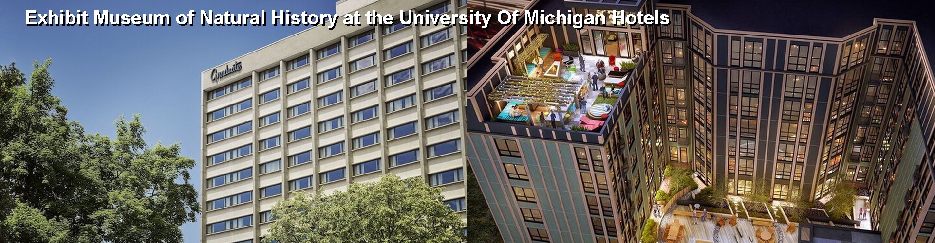 5 Best Hotels near Exhibit Museum of Natural History at the University Of Michigan