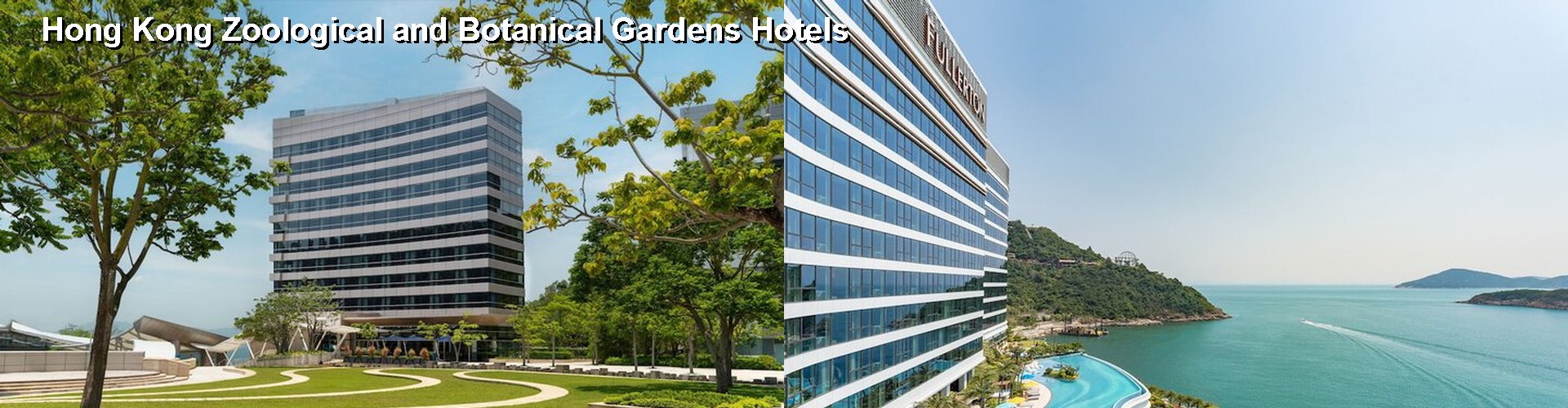 5 Best Hotels near Hong Kong Zoological and Botanical Gardens
