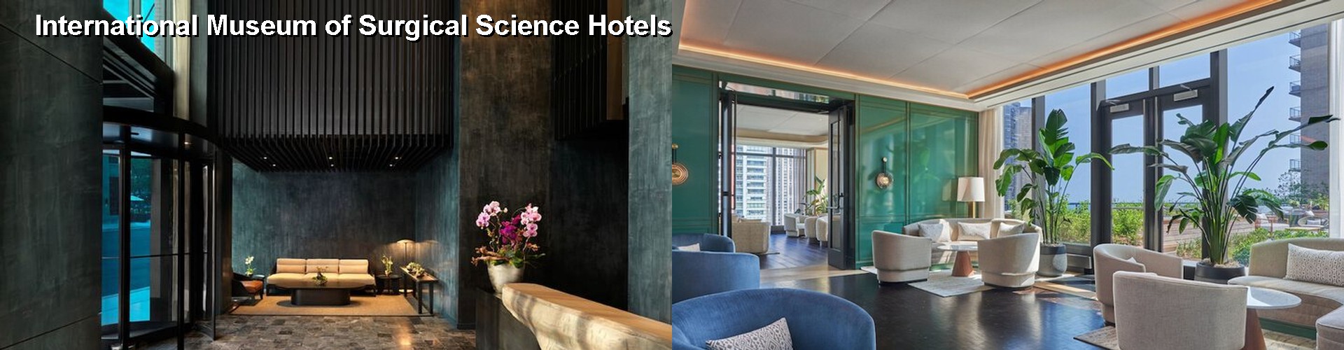 4 Best Hotels near International Museum of Surgical Science
