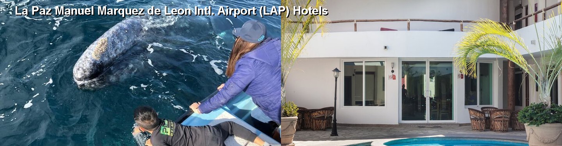 5 Best Hotels near La Paz Manuel Marquez de Leon Intl. Airport (LAP)