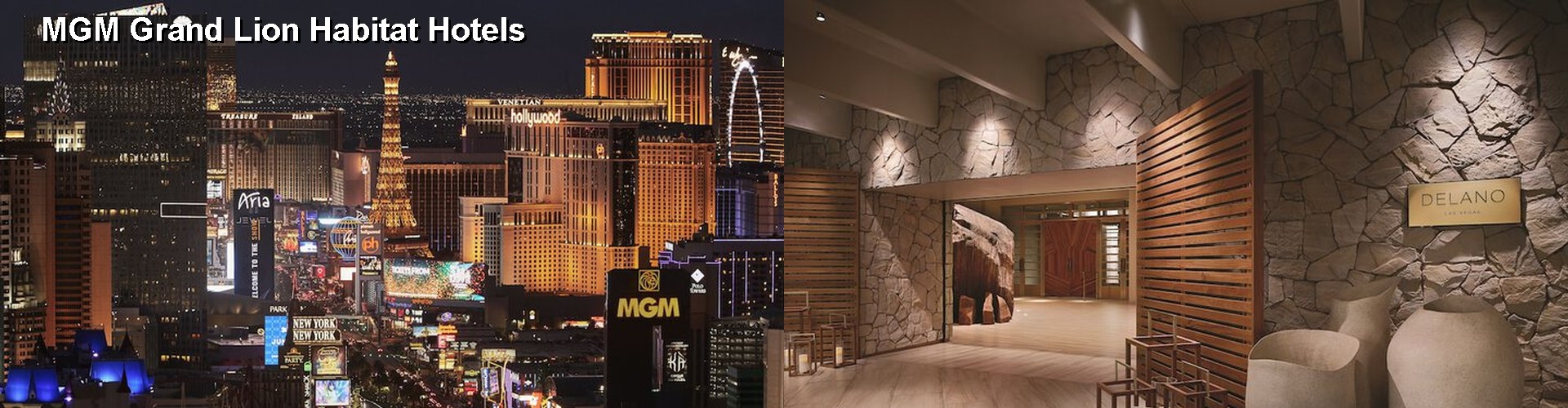 3 Best Hotels near MGM Grand Lion Habitat