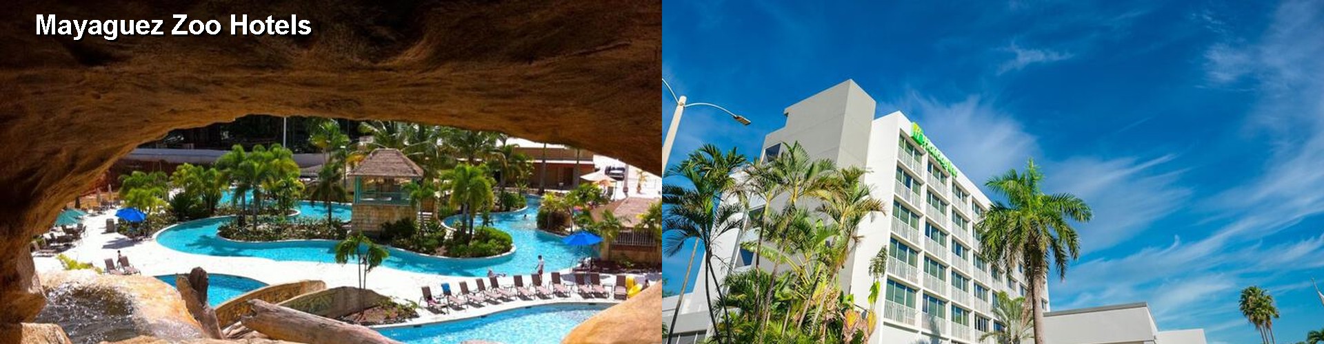 5 Best Hotels near Mayaguez Zoo