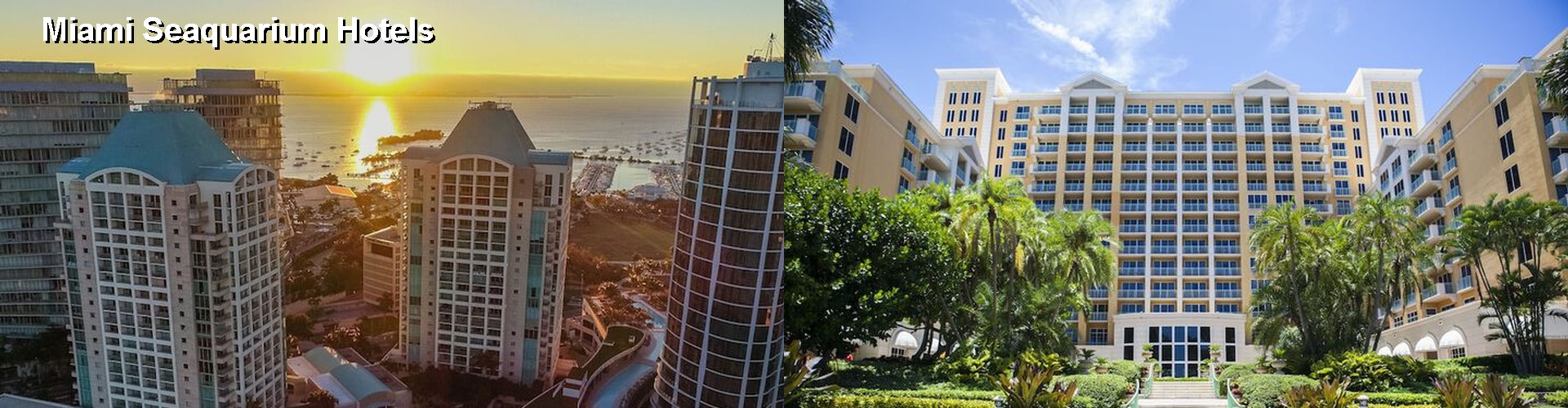 5 Best Hotels near Miami Seaquarium