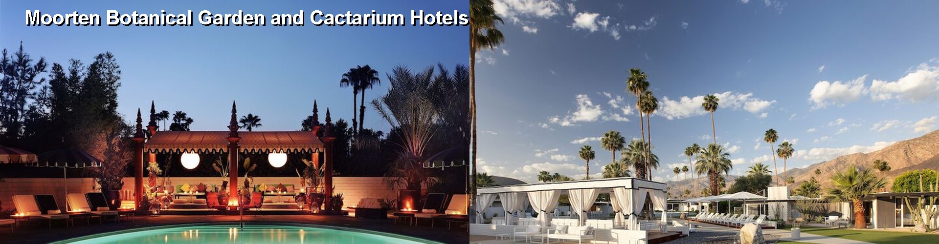 5 Best Hotels near Moorten Botanical Garden and Cactarium