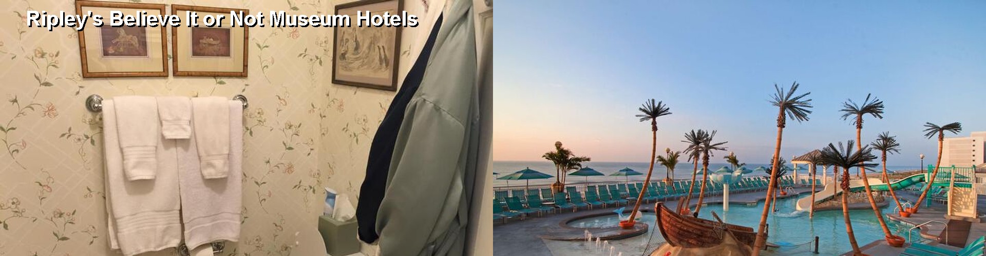 3 Best Hotels near Ripley's Believe It or Not Museum