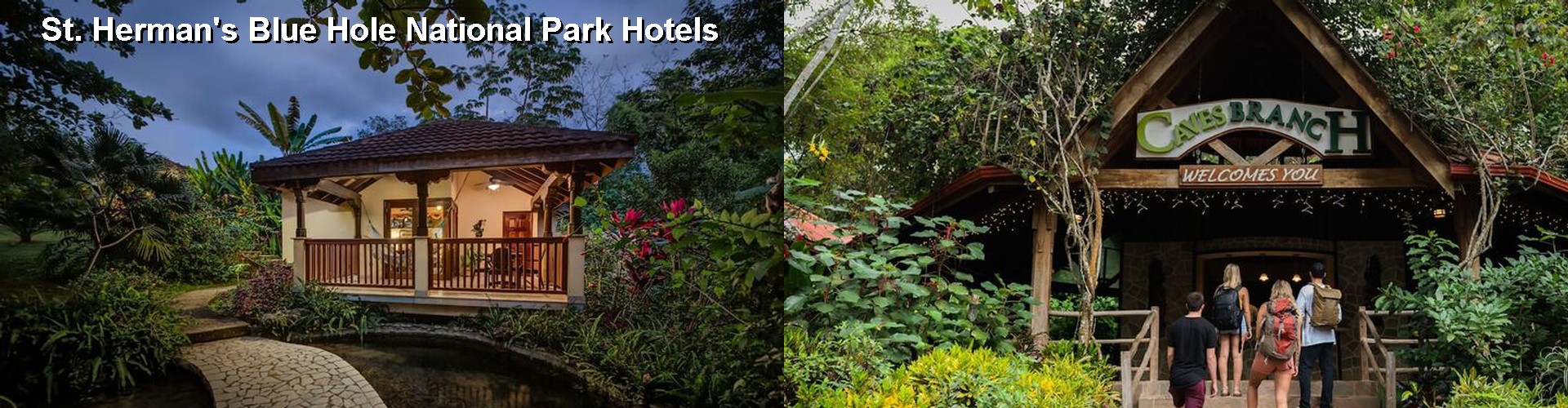 5 Best Hotels near St. Herman's Blue Hole National Park