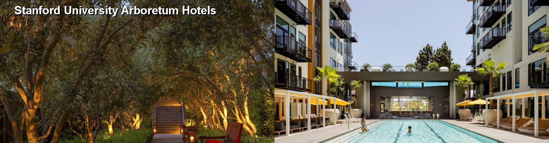 5 Best Hotels near Stanford University Arboretum