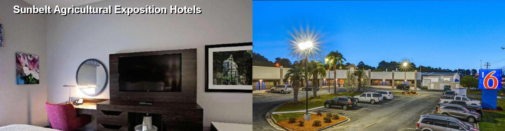 3 Best Hotels near Sunbelt Agricultural Exposition