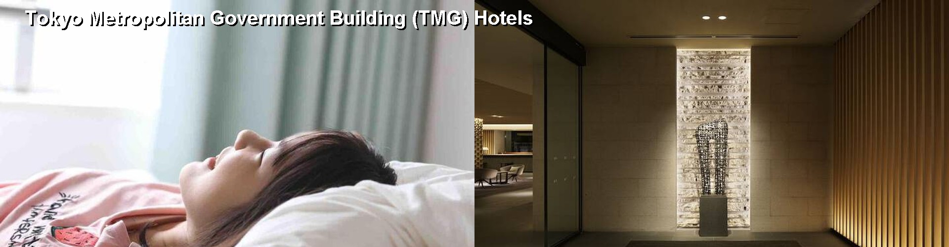 5 Best Hotels near Tokyo Metropolitan Government Building (TMG)