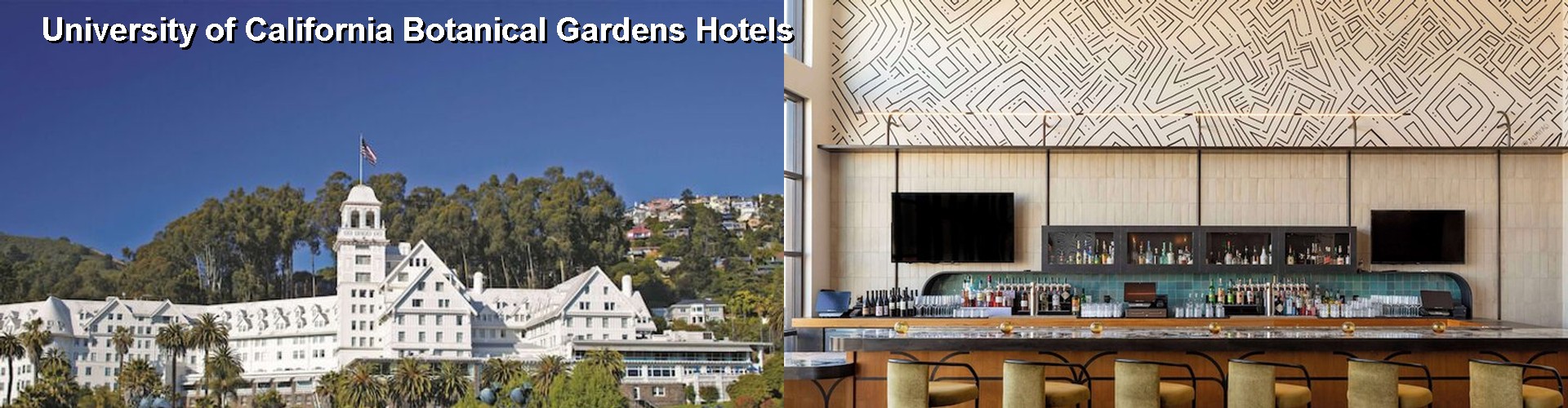 2 Best Hotels near University of California Botanical Gardens