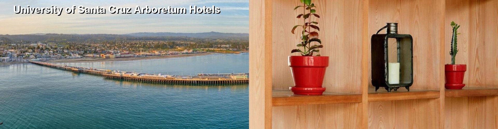 4 Best Hotels near University of Santa Cruz Arboretum
