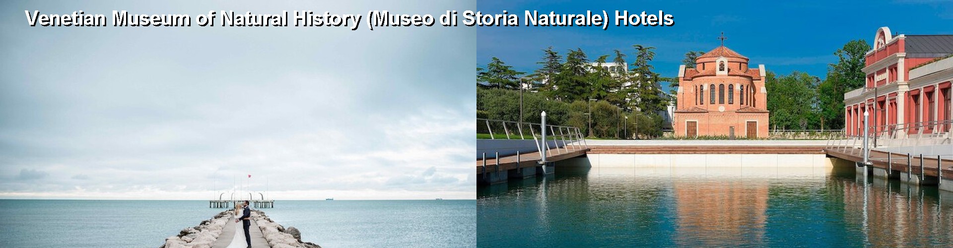5 Best Hotels near Venetian Museum of Natural History (Museo di Storia Naturale)