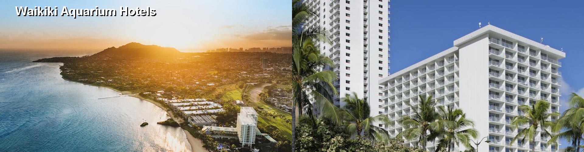5 Best Hotels near Waikiki Aquarium