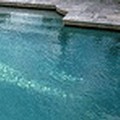 Pool image of Best Western Johnson's Inn Downtown Gatlinburg