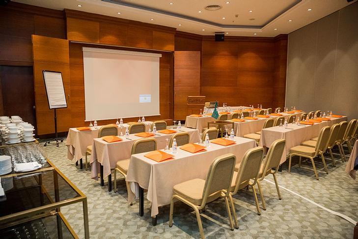 Photo of Astana Meeting Room