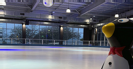 Photo of Blue Mountains Ice Skating Rink