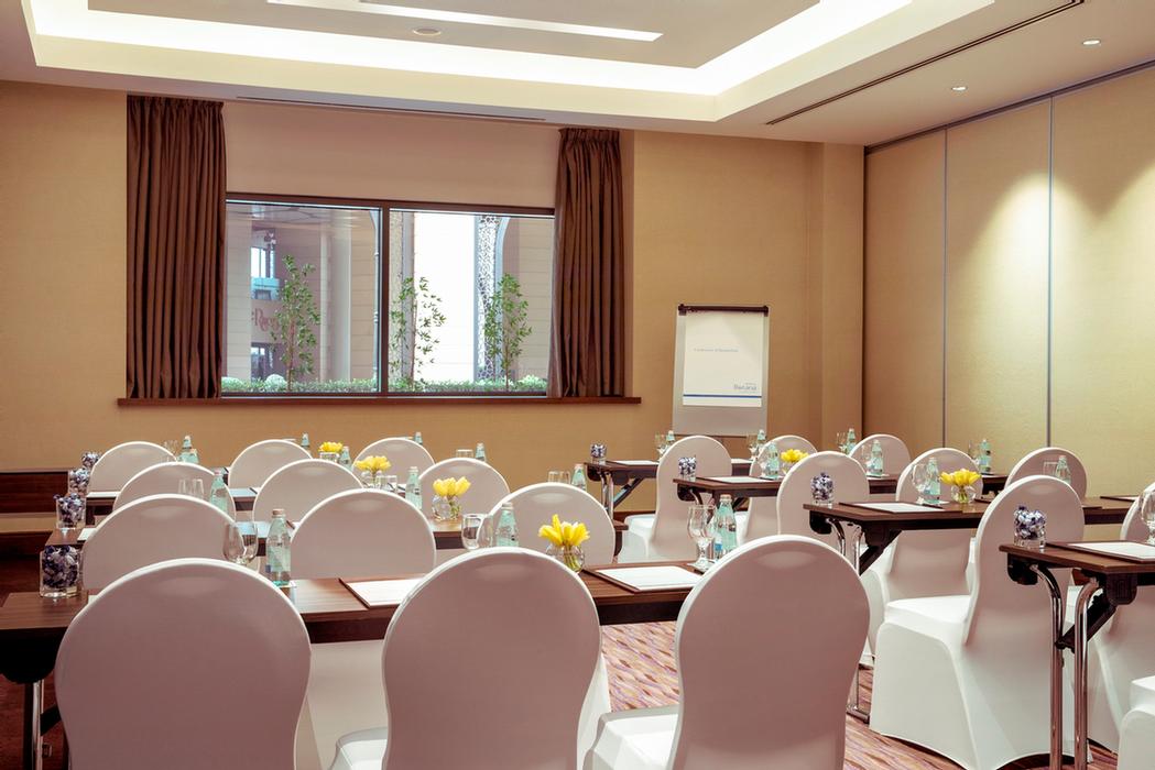 Photo of Almas meeting room