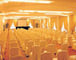 SALONE DELLE ROSE Meeting space thumbnail 2