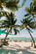 Palm Aisle Beach Meeting Space Thumbnail 3