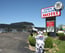 Milly And The Moo Crew Welcome You To The Town & Country Motel 1 of 11